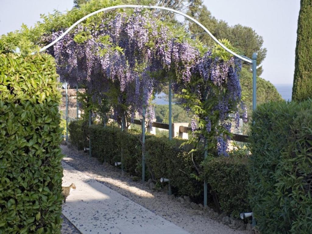 Le Mas Des Oliviers Sainte-Maxime Exterior photo